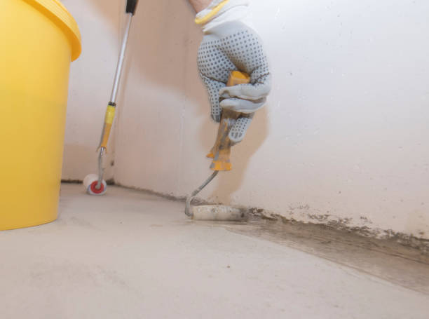 Best Residential Pest Control  in Rockwood, MI